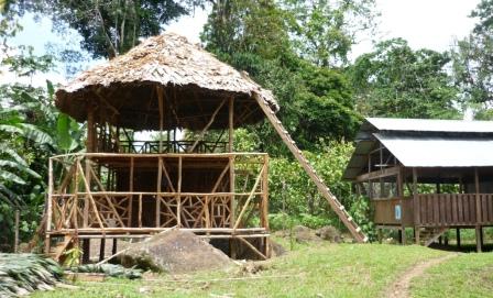 Area cultural y esparcimiento