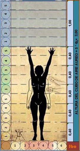 Caonon de Ergonometr&iacute;a &Aacute;urea, por IBO