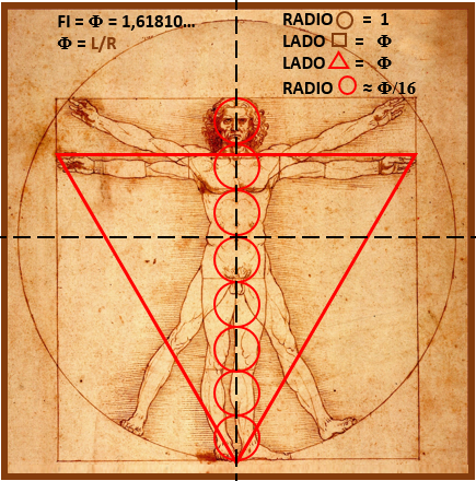 fi_triangulo_aureo_hombre_vitruvio_de_vinci