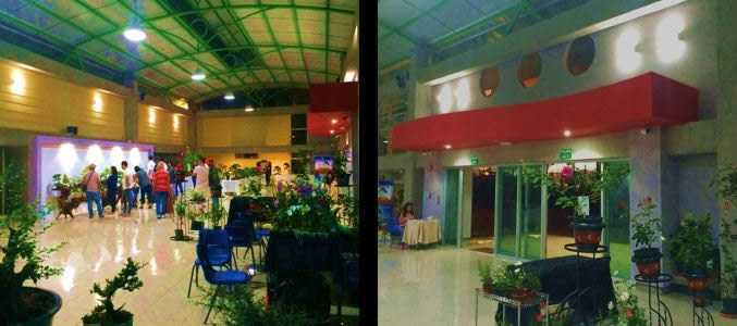 Actividades al interior