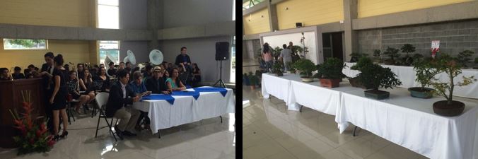 Actividades